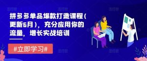 拼多多单品爆款打造课程(更新6月)，充分应用你的流量，增长实战培训-网创资源站