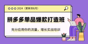 （11556期）2024拼多多-单品爆款打造班(更新6月)，充分应用你的流量，增长实战培训-网创资源站