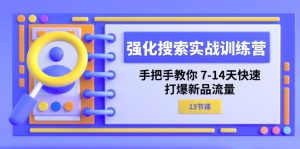 （11557期）强化 搜索实战训练营，手把手教你 7-14天快速-打爆新品流量（13节课）-网创资源站