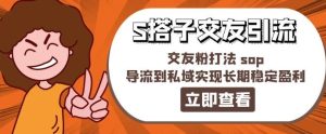 某收费888-S搭子交友引流，交友粉打法 sop，导流到私域实现长期稳定盈利-网创资源站