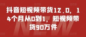 抖音短视频带货12.0，14个月从0到1，短视频带货90万件-网创资源站