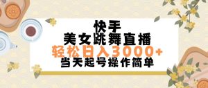（11565期）快手美女跳舞直播，轻松日入3000+简单无脑-网创资源站