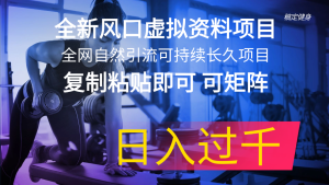 （11587期）全新风口虚拟资料项目 全网自然引流可持续长久项目 复制粘贴即可可矩阵…-网创资源站