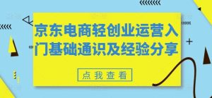 京东电商轻创业运营入门基础通识及经验分享-网创资源站