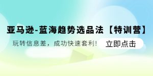 （11591期）亚马逊-蓝海趋势选品法【特训营】：玩转信息差，成功快速套利!-网创资源站
