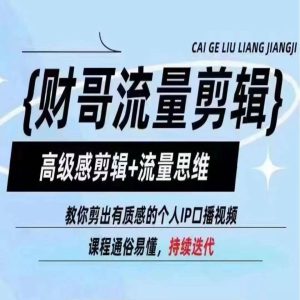 财哥流量剪辑，高级感剪辑+流量思维，教你剪出有质感的个人IP口播视频-网创资源站