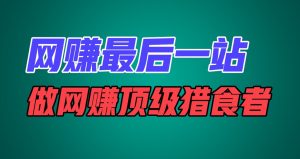 网赚最后一站，卖项目，做网赚顶级猎食者-网创资源站