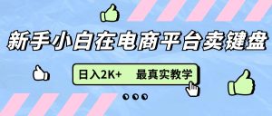 （11610期）新手小白在电商平台卖键盘，日入2K+最真实教学-网创资源站