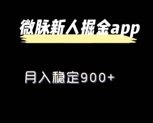最新微脉长久项目，拉新掘金，月入稳定900+-网创资源站