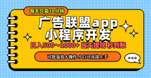 （11645期）小程序开发 广告赚钱 日入500~1000+ 小白轻松上手！-网创资源站