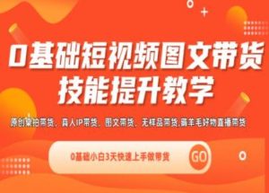 0基础短视频图文带货实操技能提升教学(直播课+视频课),0基础小白3天快速上手做带货-网创资源站