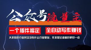 （11659期）利用AI插件2个月涨粉5.6w，一键生成，即使你不懂技术，也能轻松上手-网创资源站