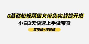 0基础短视频图文带货实战提升班，小白3天快速上手做带货(直播课+视频课)-网创资源站