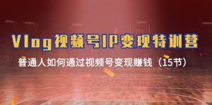 Vlog视频号IP变现特训营，普通人如何通过视频号变现赚钱（15节）-网创资源站