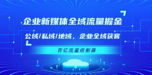 企业新媒体全域流量掘金：公域/私域/地域 企业全域获客 百亿流量收割器-网创资源站