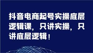 抖音电商起号实操底层逻辑课，只讲实操，只讲底层逻辑！（7节）-网创资源站
