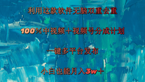 （11710期）利用这款软件无脑双重去重 100％中视频＋视频号分成计划 小白也能月入3w＋-网创资源站