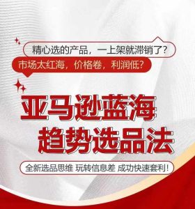 亚马逊蓝海趋势选法，全新选品思维，玩转信息差-网创资源站