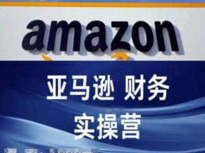 亚马逊财务核算实操营-亚马逊跨境电商教程-网创资源站