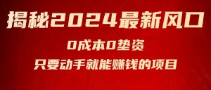 （11727期）揭秘2024最新风口，0成本0垫资，新手小白只要动手就能赚钱的项目—空调-网创资源站
