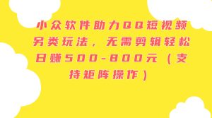 （11736期）小众软件助力QQ短视频另类玩法，无需剪辑轻松日赚500-800元（支持矩阵…-网创资源站