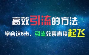 （11776期）高效引流的方法，可以帮助你日引300+创业粉，一年轻松收入30万，比打工强-网创资源站