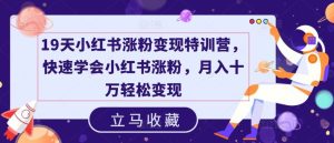 19天小红书涨粉变现特训营，快速学会小红书涨粉，月入十万轻松变现-网创资源站