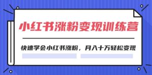 2024小红书19天涨粉变现特训营，快速学会小红书涨粉，月入十万轻松变现（42节）-网创资源站