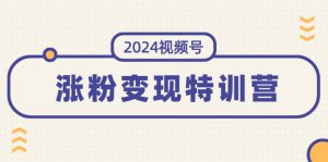 （11779期）2024视频号-涨粉变现特训营：一站式打造稳定视频号涨粉变现模式（10节）-网创资源站