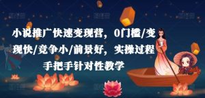 小说推广快速变现营，0门槛/变现快/竞争小/前景好，实操过程手把手针对性教学-网创资源站