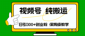 （11827期）视频号纯搬运日引流300+创业粉，日入4000+-网创资源站