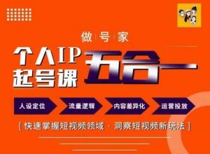 做号家的个人IP起号方法，快去掌握短视频领域，洞察短视频新玩法，68节完整-网创资源站
