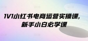 1V1小红书电商运营实操课，新手小白必学课-网创资源站