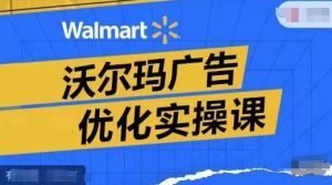 沃尔玛广告优化实操课，广告报告实操讲解，广告如何提高转化和ROAS等-网创资源站