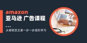 amazon亚马逊广告课程：从青铜至王者一步一步进阶学习（16节）-网创资源站