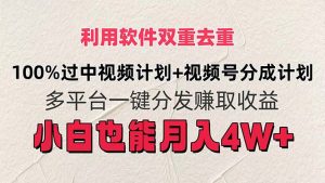 （11862期）利用软件双重去重，100%过中视频+视频号分成计划小白也可以月入4W+-网创资源站