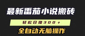 （11904期）最新番茄小说搬砖，日撸300＋！全自动操作，可矩阵放大-网创资源站