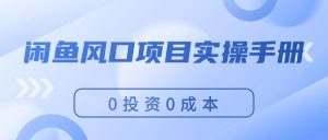 （11923期）闲鱼风口项目实操手册，0投资0成本，让你做到，月入过万，新手可做-网创资源站