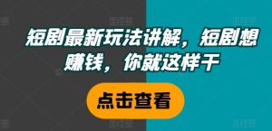 短剧最新玩法讲解，短剧想赚钱，你就这样干-网创资源站