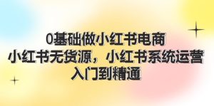 （11960期）0基础做小红书电商，小红书无货源，小红书系统运营，入门到精通 (70节)-网创资源站