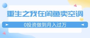 （11962期）重生之我在闲鱼卖空调，0投资做到月入过万，迎娶白富美，走上人生巅峰-网创资源站