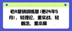 老A营销训练营(更24年7月)，轻理论，重实战，轻概念，重本质-网创资源站