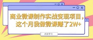商业微课制作实战变现项目，这个月我做微课赚了2W+-网创资源站