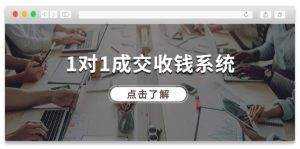 1对1成交收钱系统，全网130万粉丝，十年专注于引流和成交！-网创资源站