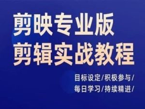 剪映专业版剪辑实战教程，目标设定/积极参与/每日学习/持续精进-网创资源站