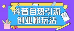 抖音引流创业粉自热玩法日引200+精准粉-网创资源站