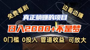 （11979期）免费看剧，边看边赚，日入2000+不是梦，一个真正的躺赚项目-网创资源站