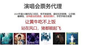 （12011期）2024演唱会低票务代理，新手可上手，手把手教你卖票，日入2000+，会玩…-网创资源站
