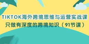 （12010期）TIKTOK海外跨境思维与运营实战课，只做有深度的跨境知识（91节课）-网创资源站
