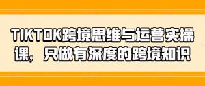 TIKTOK跨境思维与运营实操课，只做有深度的跨境知识-网创资源站